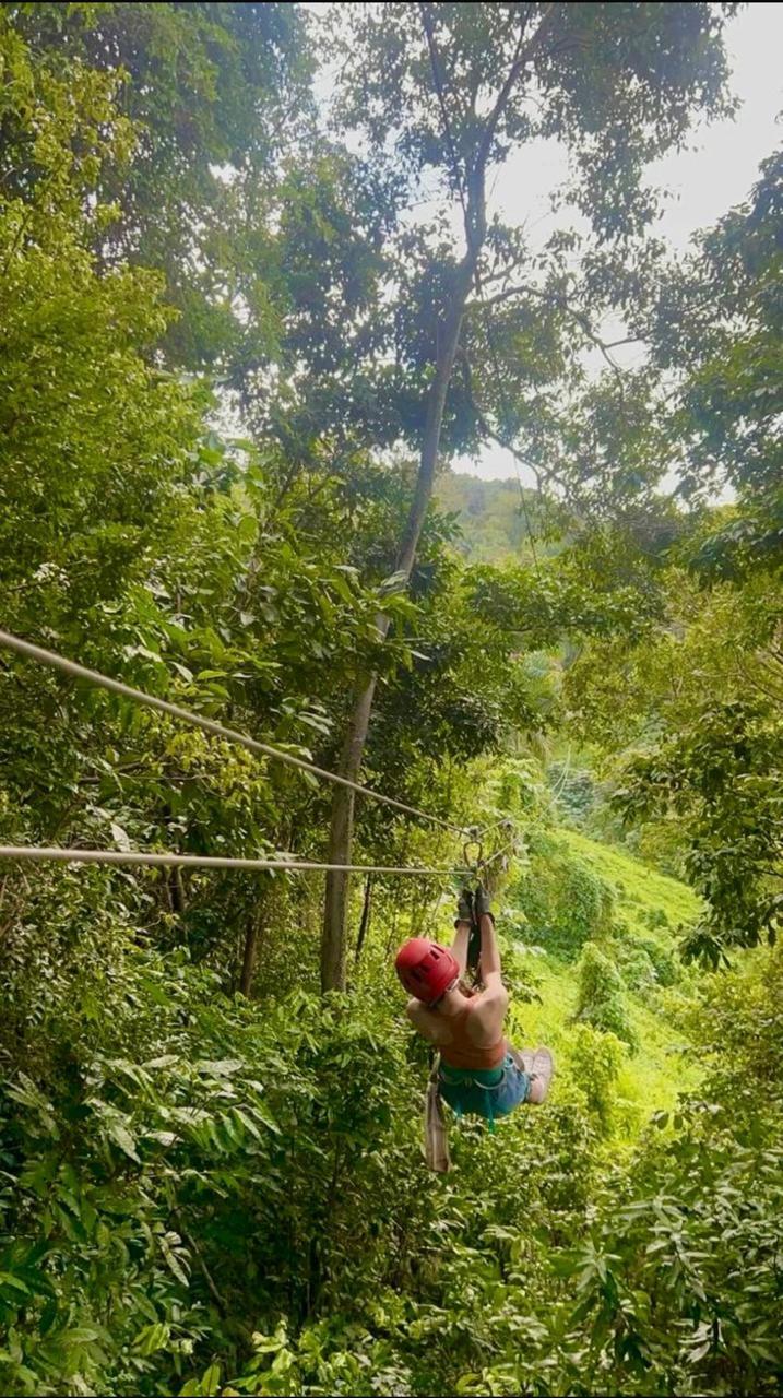 Guest ziplining through the jungle